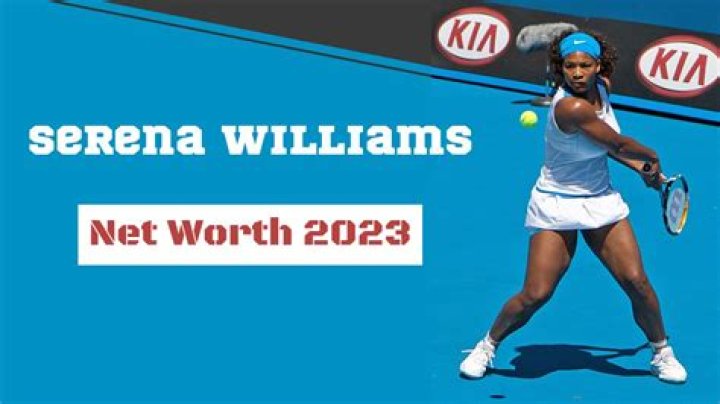 Sudan Williams Net Worth